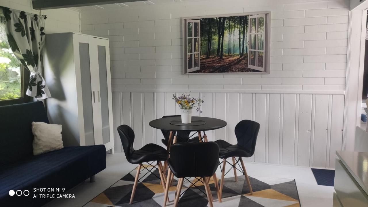 Pietraszyna Holiday home *