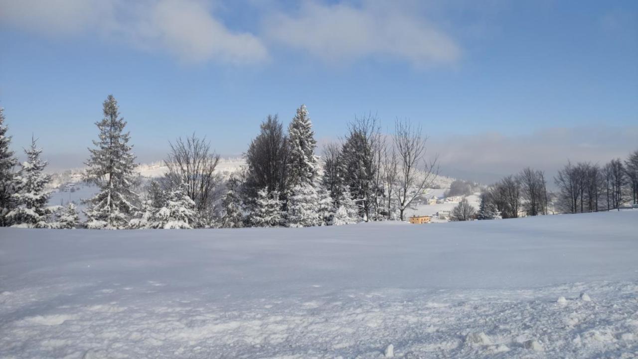 Pietraszyna * Koniakow