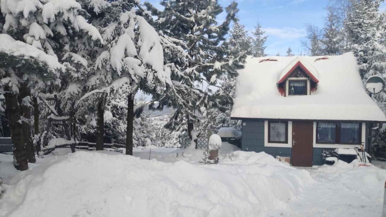 Pietraszyna Holiday home