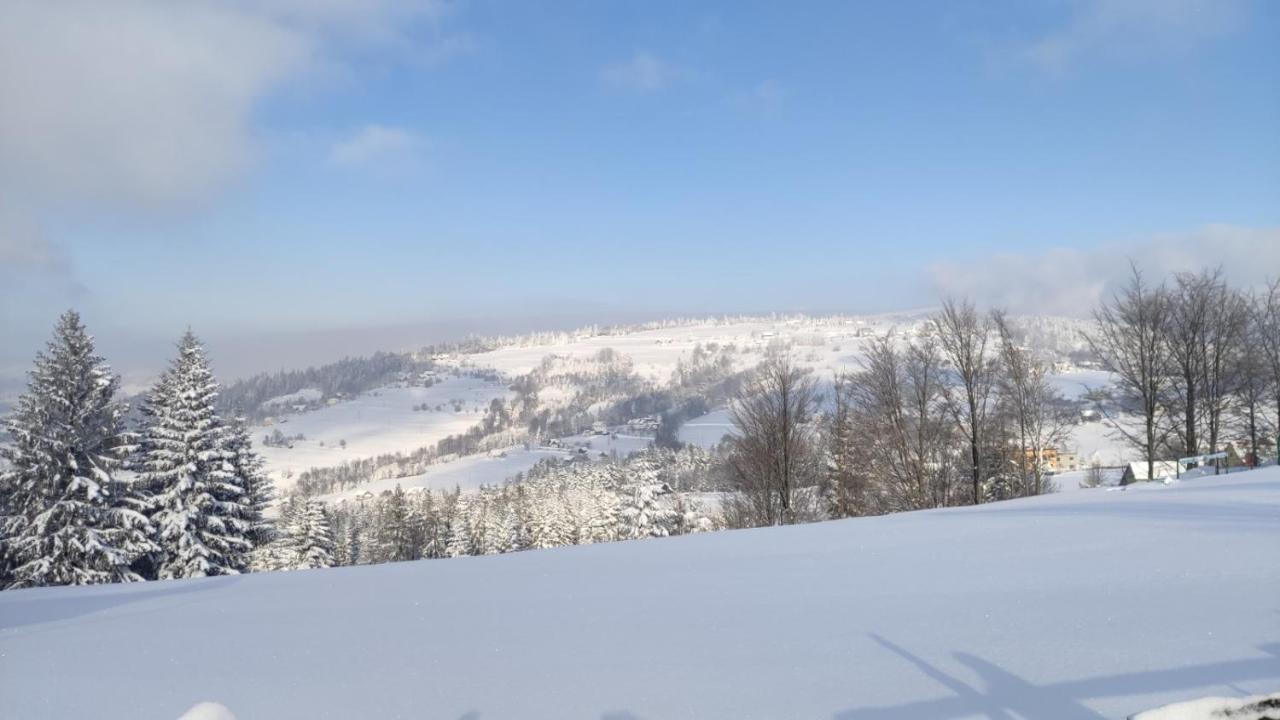 Pietraszyna Holiday home Koniakow