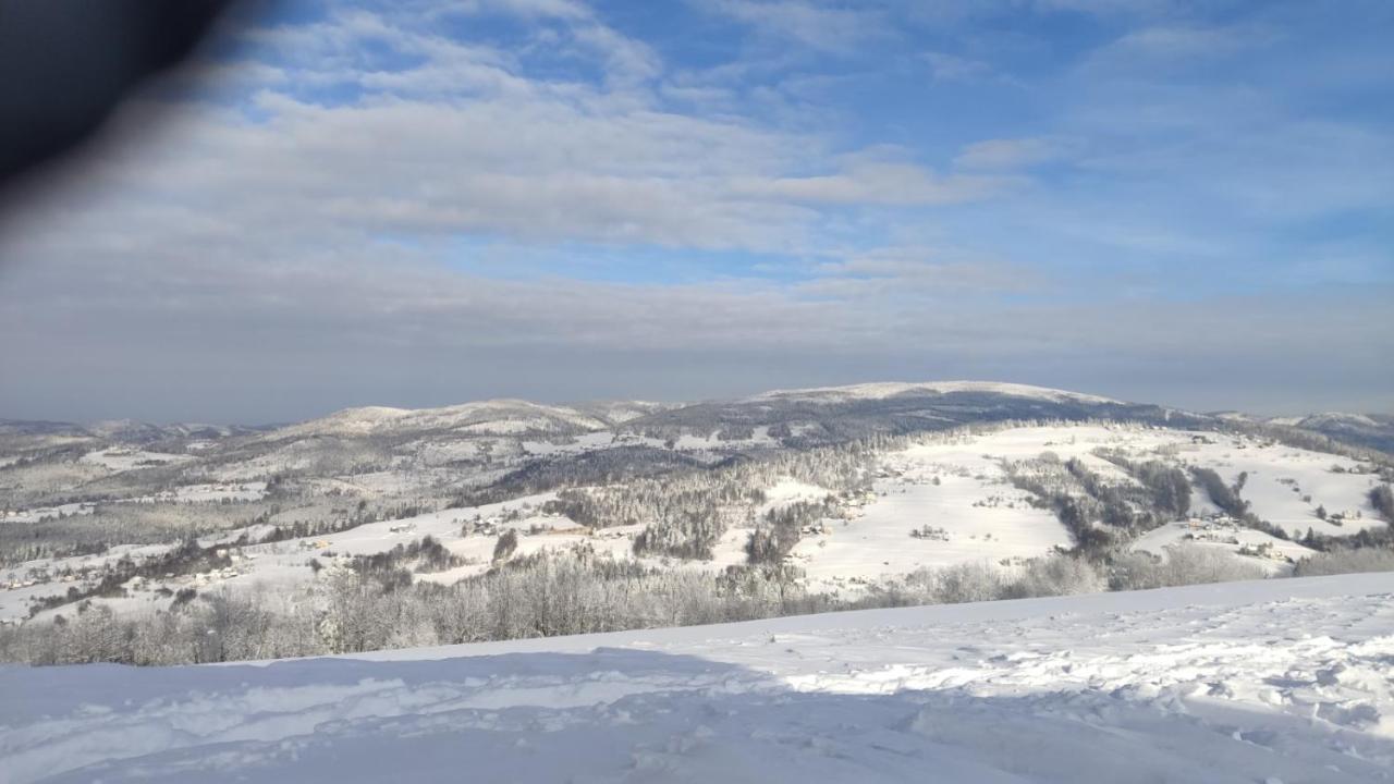 Pietraszyna Holiday home