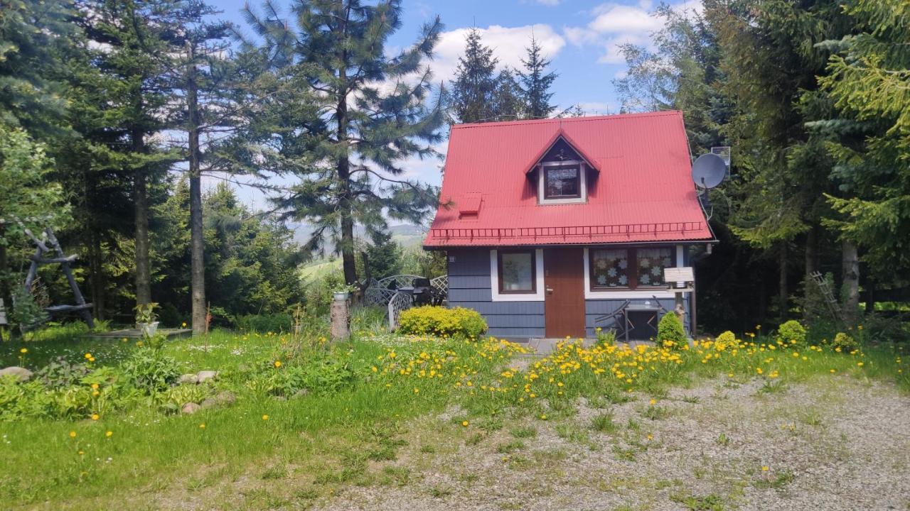 Pietraszyna Holiday home
