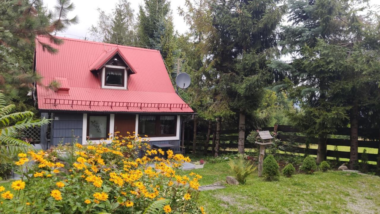 Pietraszyna Holiday home Koniakow