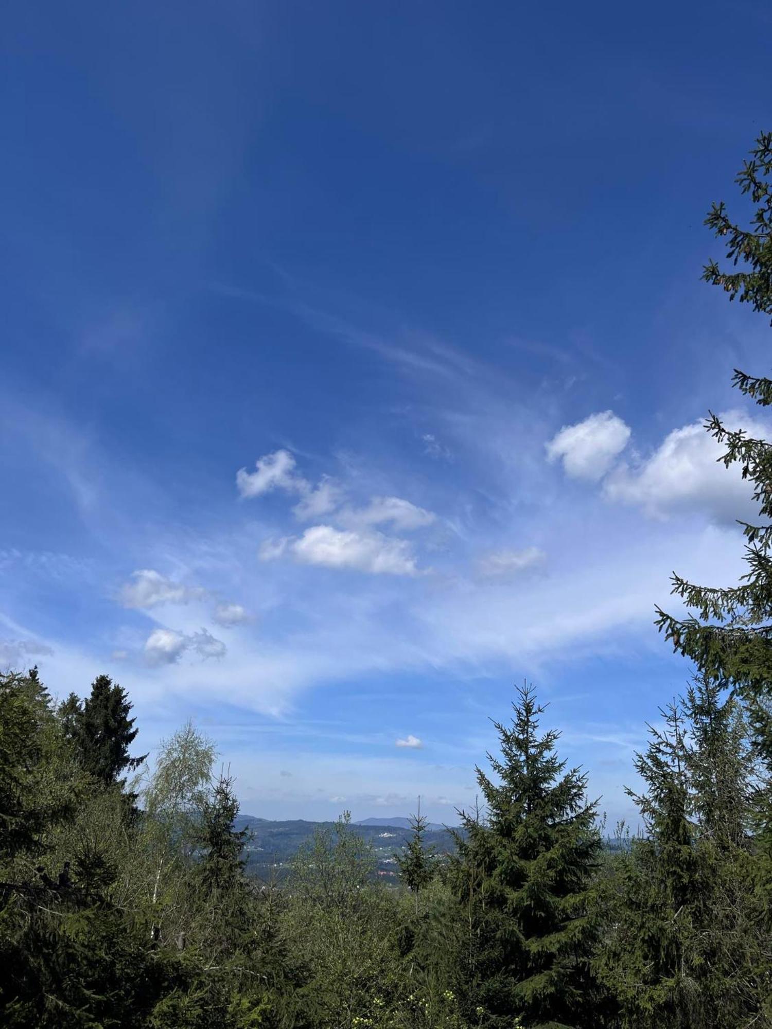 Pietraszyna Holiday home
